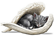 cat collectible 2 cat collectible 2
