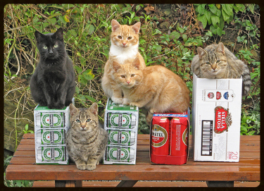 08-Cats-Who-LOVE-Beer-The-Sopranos 08-Cats-Who-LOVE-Beer-The-Sopranos